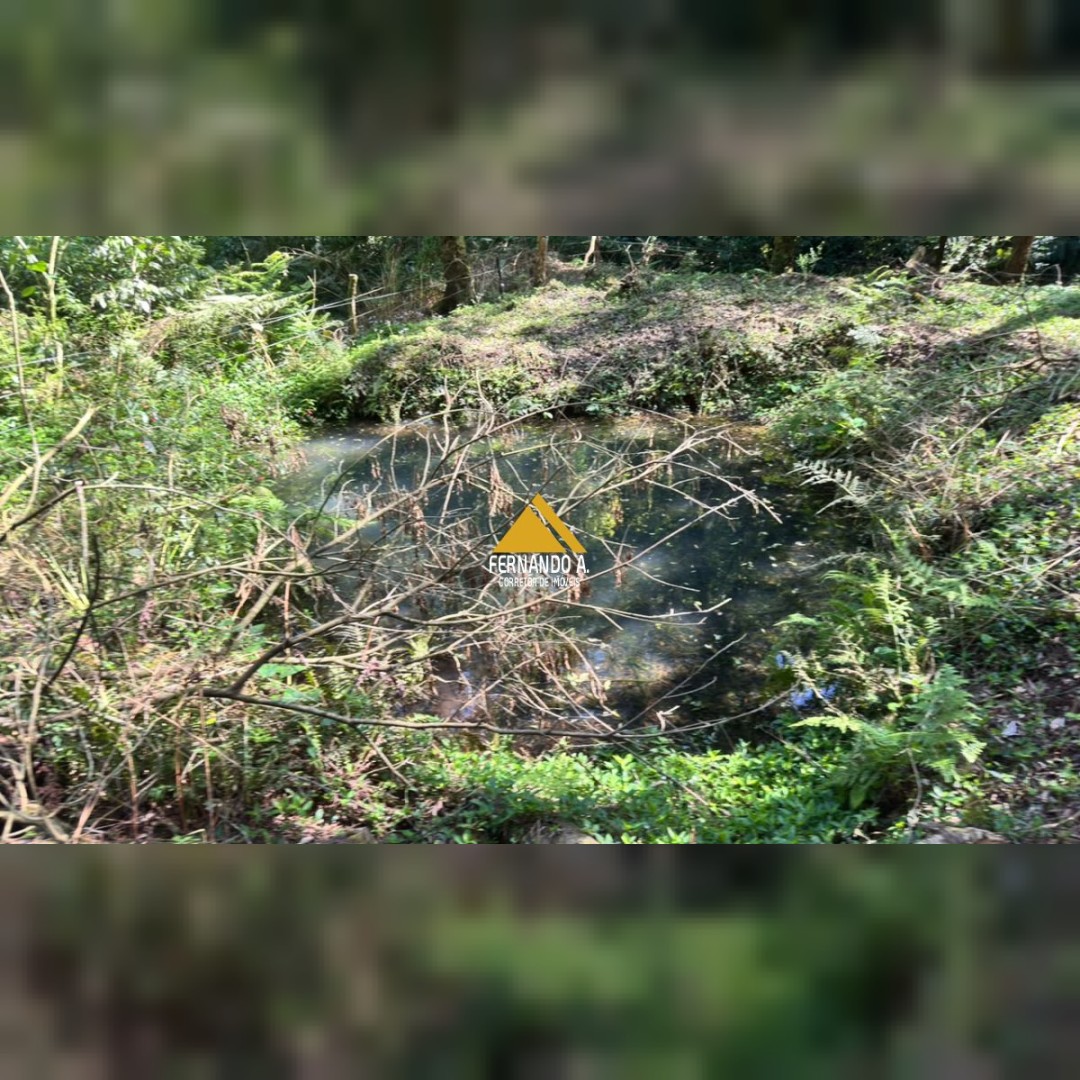 SÍTIO À VENDA EM DOIS IRMÃOS – 4,5 HECTARES COM RIO, CASCATA E NATUREZA