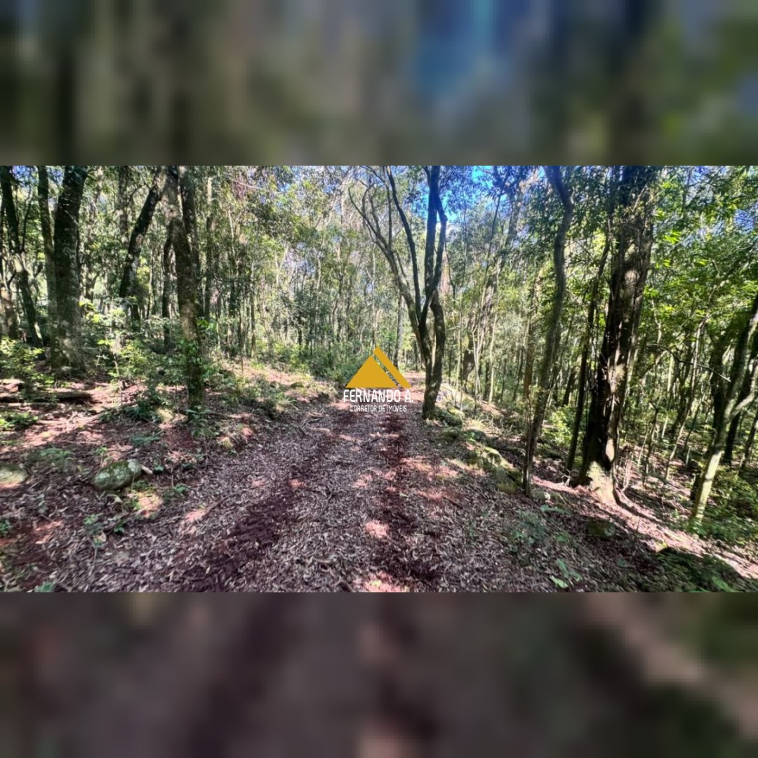 SÍTIO À VENDA EM DOIS IRMÃOS – 4,5 HECTARES COM RIO, CASCATA E NATUREZA