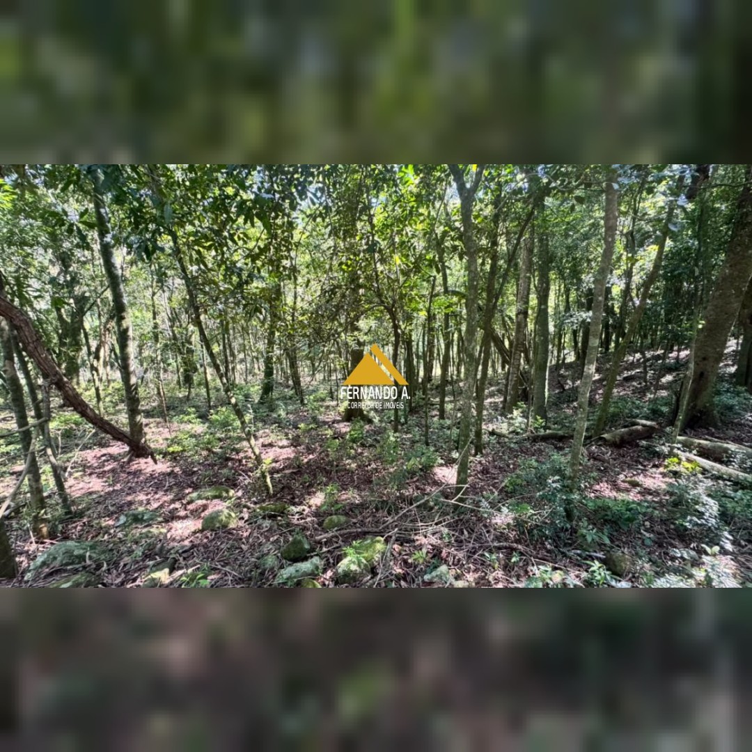 SÍTIO À VENDA EM DOIS IRMÃOS – 4,5 HECTARES COM RIO, CASCATA E NATUREZA