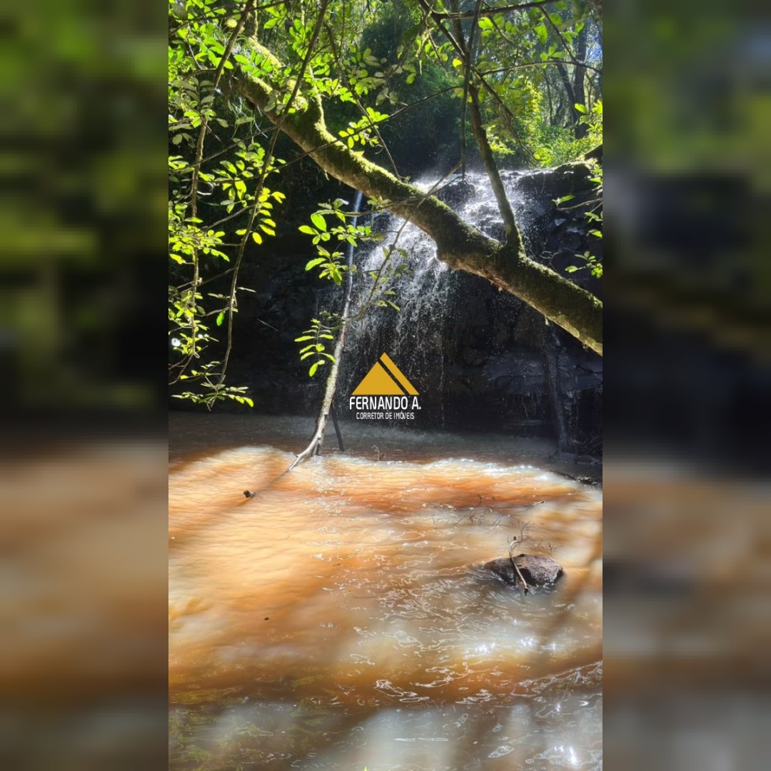 SÍTIO À VENDA EM DOIS IRMÃOS – 4,5 HECTARES COM RIO, CASCATA E NATUREZA