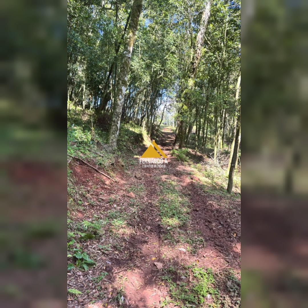 SÍTIO À VENDA EM DOIS IRMÃOS – 4,5 HECTARES COM RIO, CASCATA E NATUREZA
