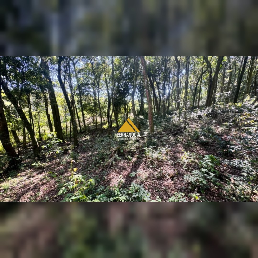 SÍTIO À VENDA EM DOIS IRMÃOS – 4,5 HECTARES COM RIO, CASCATA E NATUREZA