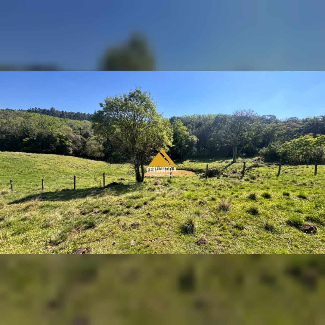 SÍTIO À VENDA EM DOIS IRMÃOS – 4,5 HECTARES COM RIO, CASCATA E NATUREZA
