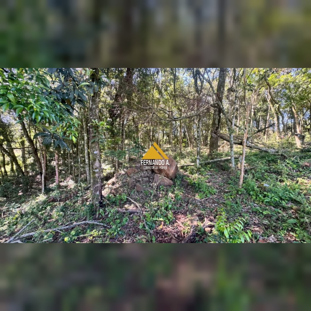 SÍTIO À VENDA EM DOIS IRMÃOS – 4,5 HECTARES COM RIO, CASCATA E NATUREZA