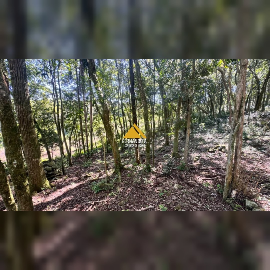 SÍTIO À VENDA EM DOIS IRMÃOS – 4,5 HECTARES COM RIO, CASCATA E NATUREZA