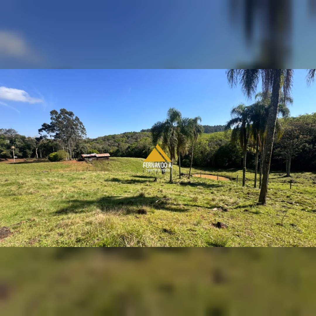 SÍTIO À VENDA EM DOIS IRMÃOS – 4,5 HECTARES COM RIO, CASCATA E NATUREZA