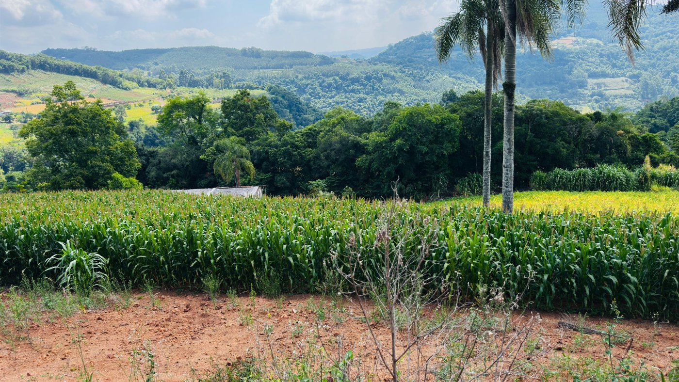 Sítio / Chácara para Venda no bairro Linha Quatro Cantos em Morro Reuter