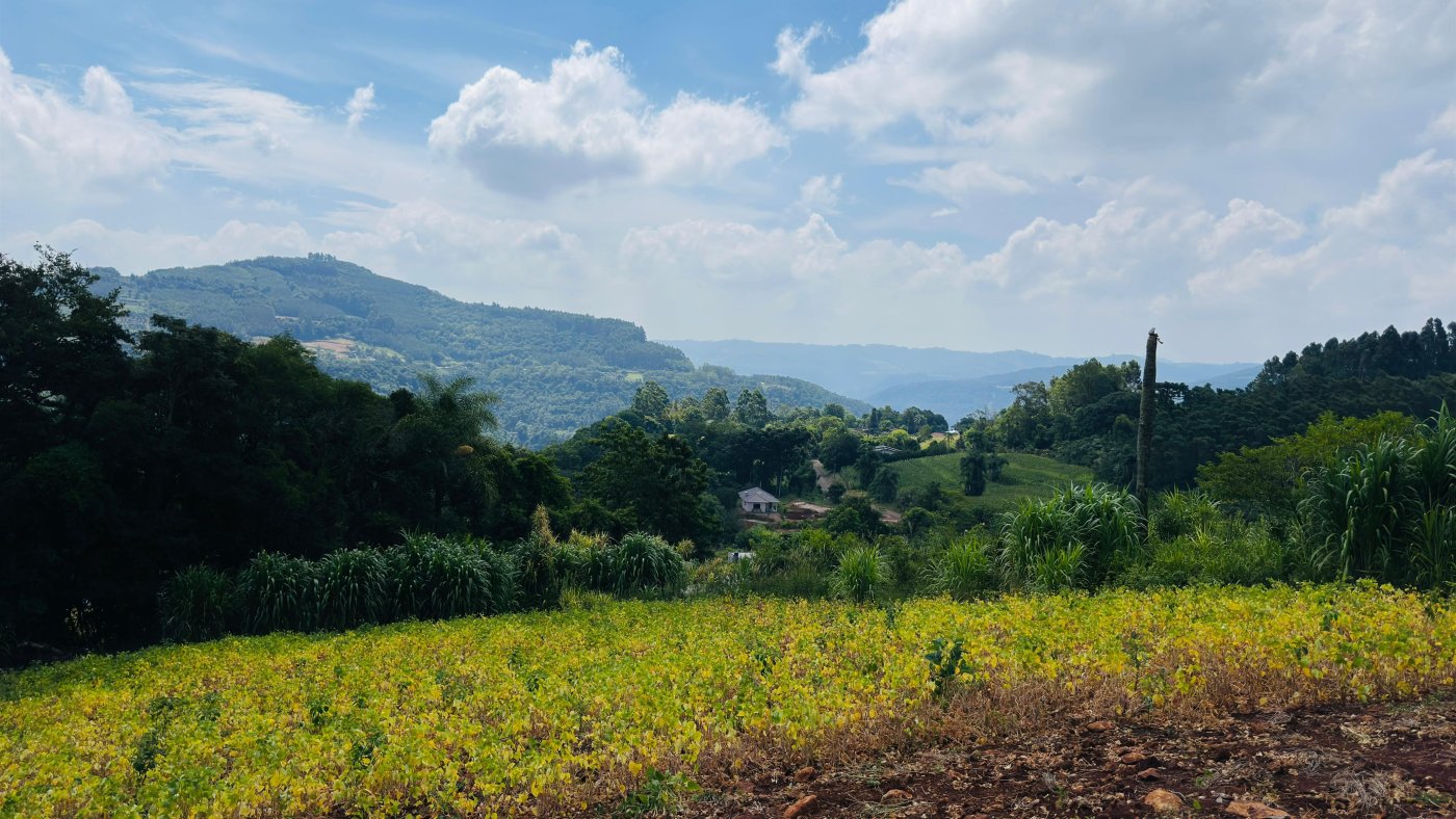 Sítio / Chácara para Venda no bairro Linha Quatro Cantos em Morro Reuter