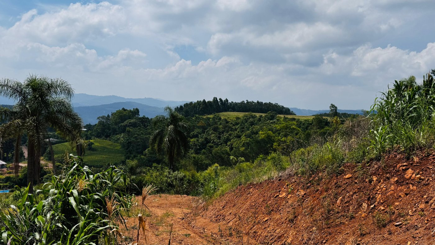 Sítio / Chácara para Venda no bairro Linha Quatro Cantos em Morro Reuter
