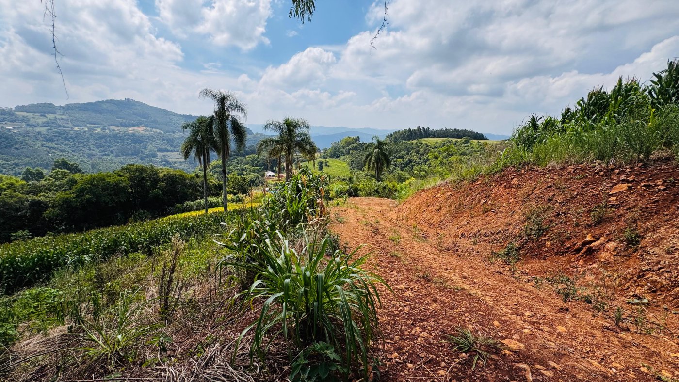 Sítio / Chácara para Venda no bairro Linha Quatro Cantos em Morro Reuter