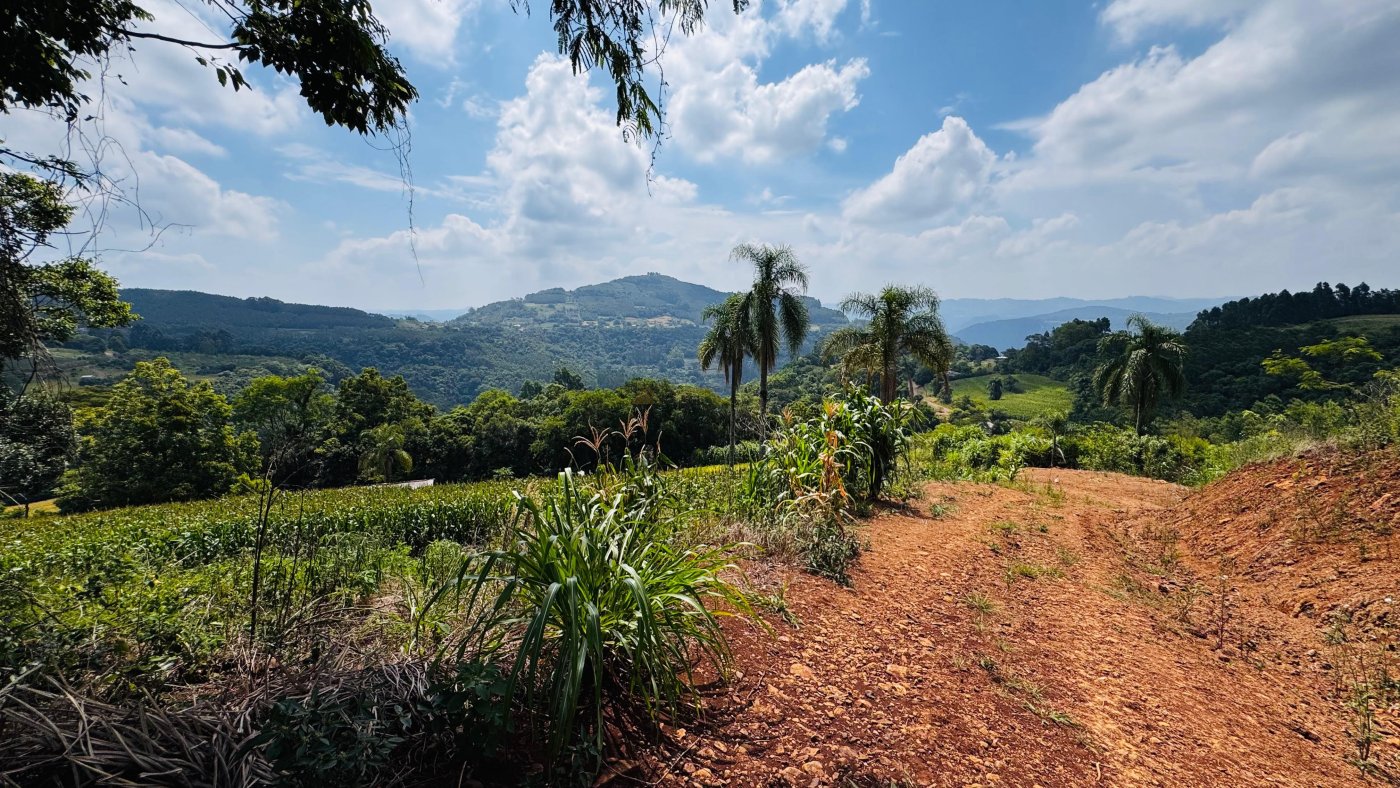 Sítio / Chácara para Venda no bairro Linha Quatro Cantos em Morro Reuter