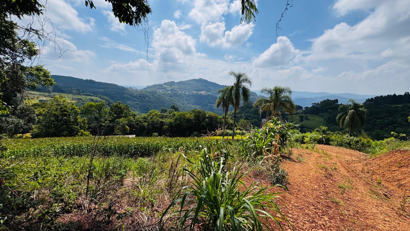 Sítio / Chácara para Venda no bairro Linha Quatro Cantos em Morro Reuter