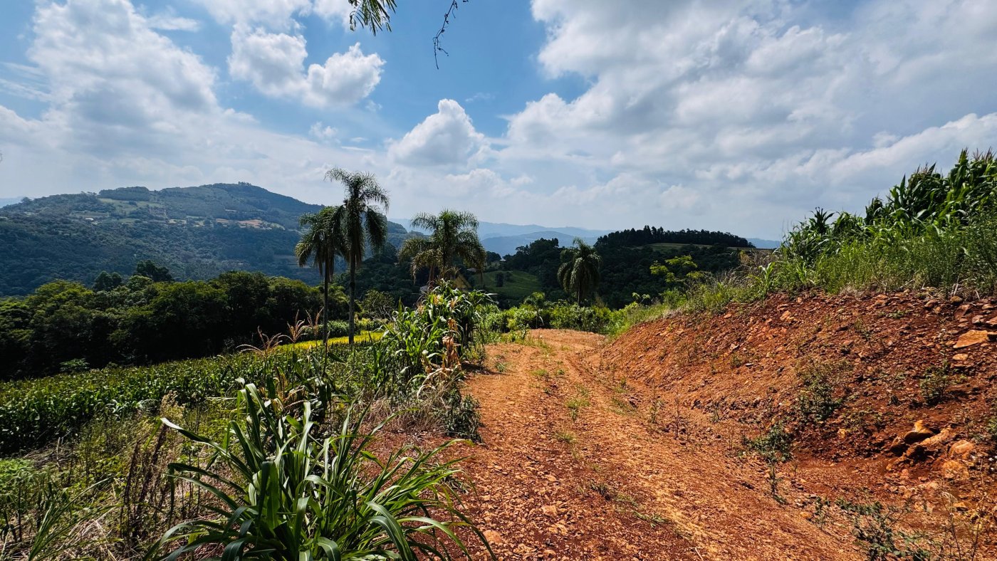 Sítio / Chácara para Venda no bairro Linha Quatro Cantos em Morro Reuter