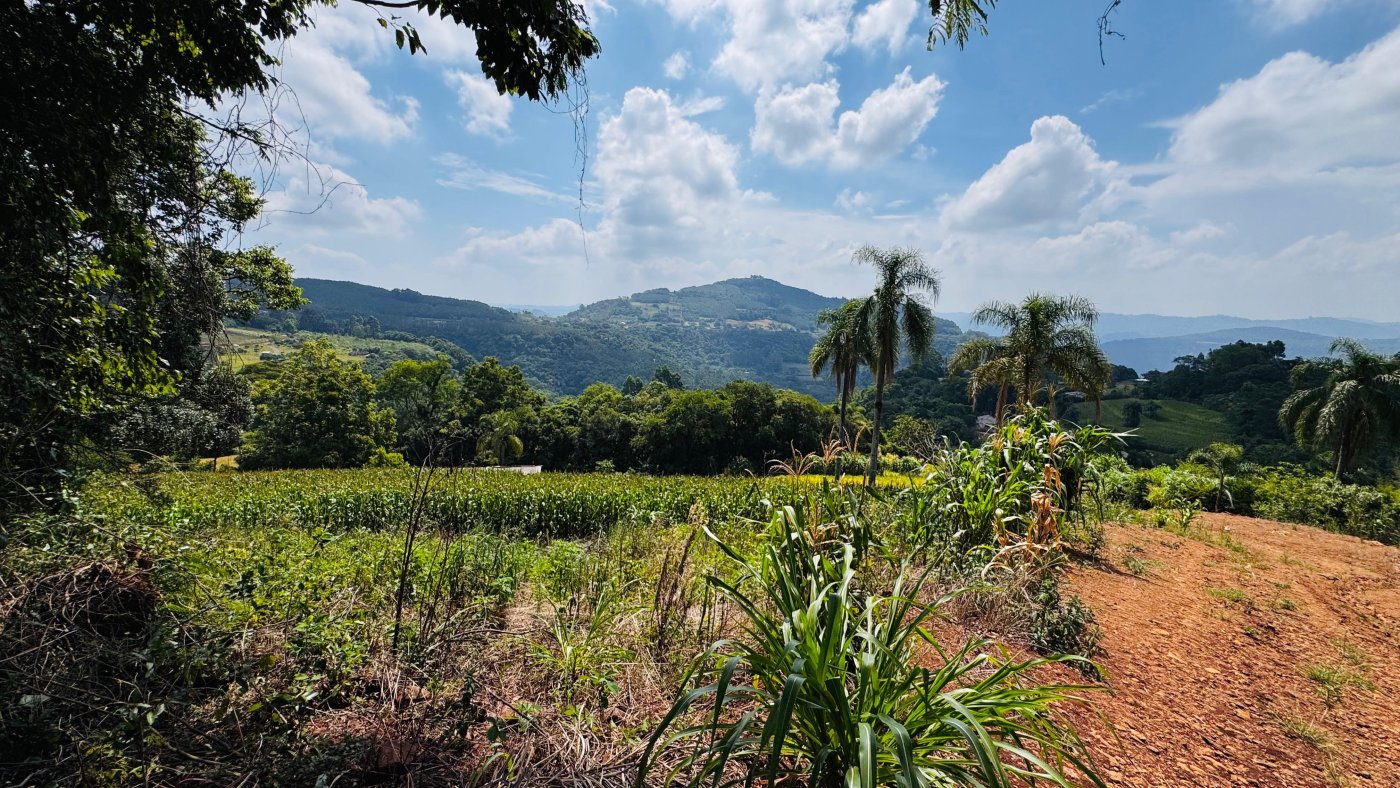Sítio / Chácara para Venda no bairro Linha Quatro Cantos em Morro Reuter