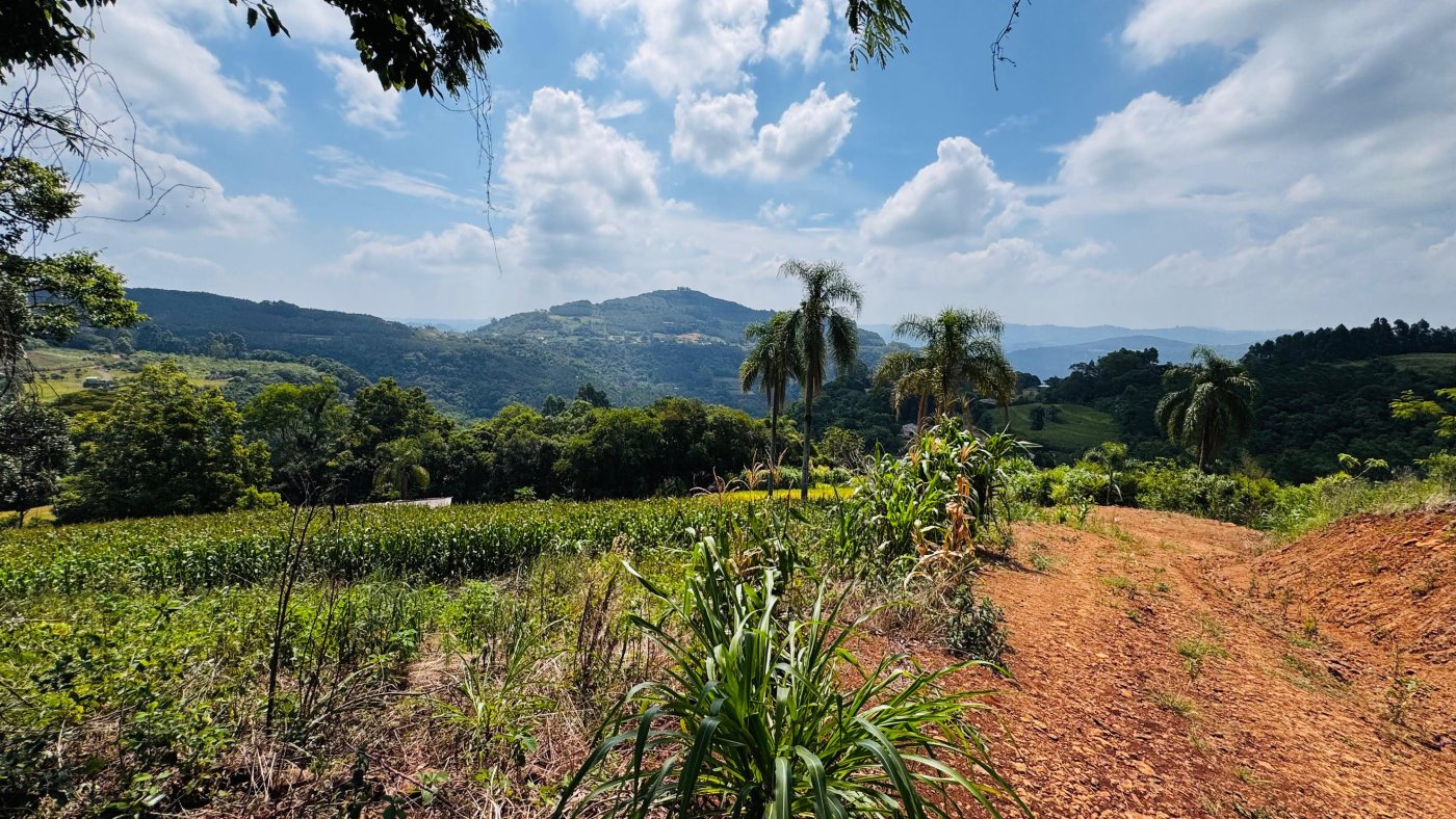 Sítio / Chácara para Venda no bairro Linha Quatro Cantos em Morro Reuter