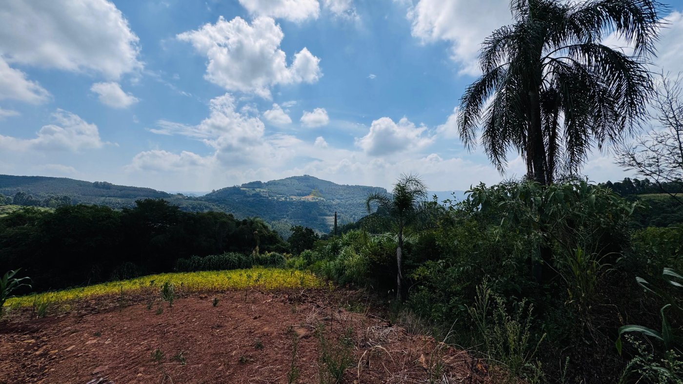 Sítio / Chácara para Venda no bairro Linha Quatro Cantos em Morro Reuter