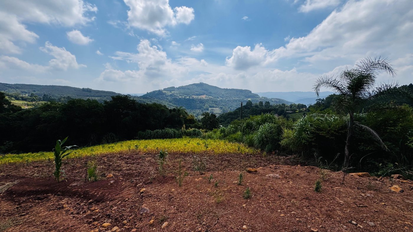 Sítio / Chácara para Venda no bairro Linha Quatro Cantos em Morro Reuter