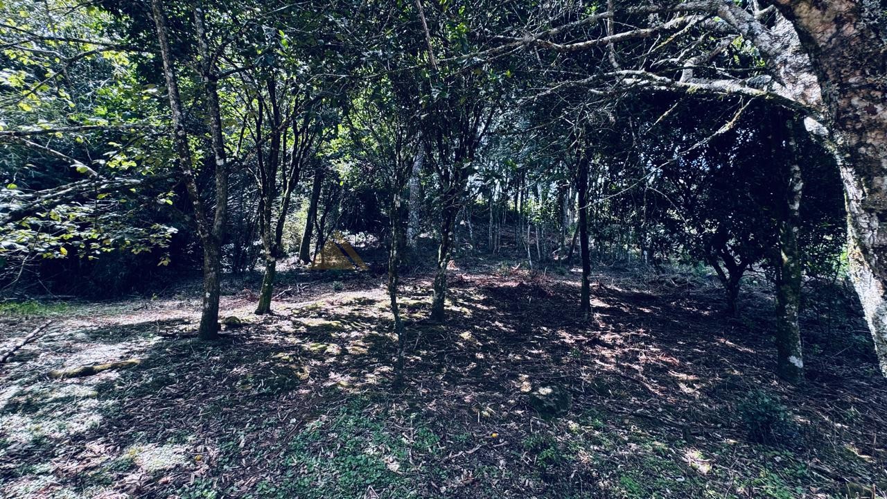 Sítio / Chácara 2 quartos para Venda no bairro Alto Padre Eterno em Santa Maria do Herval