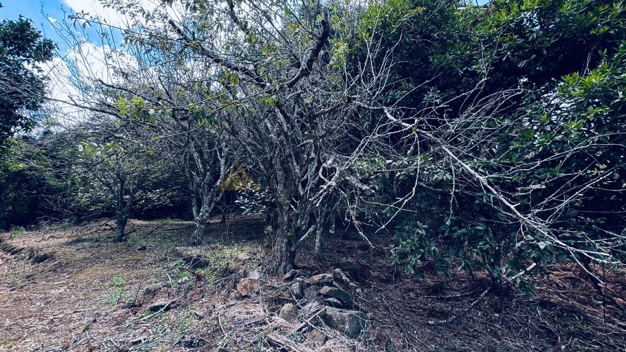 Sítio / Chácara 2 quartos para Venda no bairro Alto Padre Eterno em Santa Maria do Herval