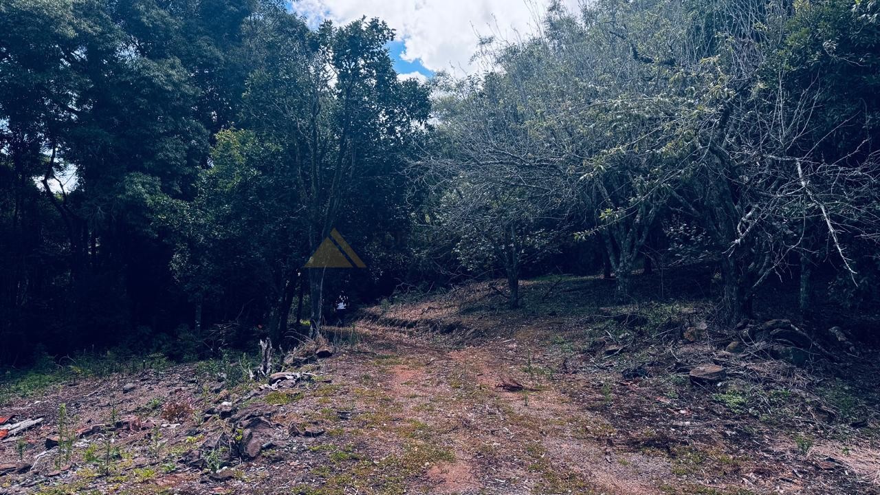 Sítio / Chácara 2 quartos para Venda no bairro Alto Padre Eterno em Santa Maria do Herval