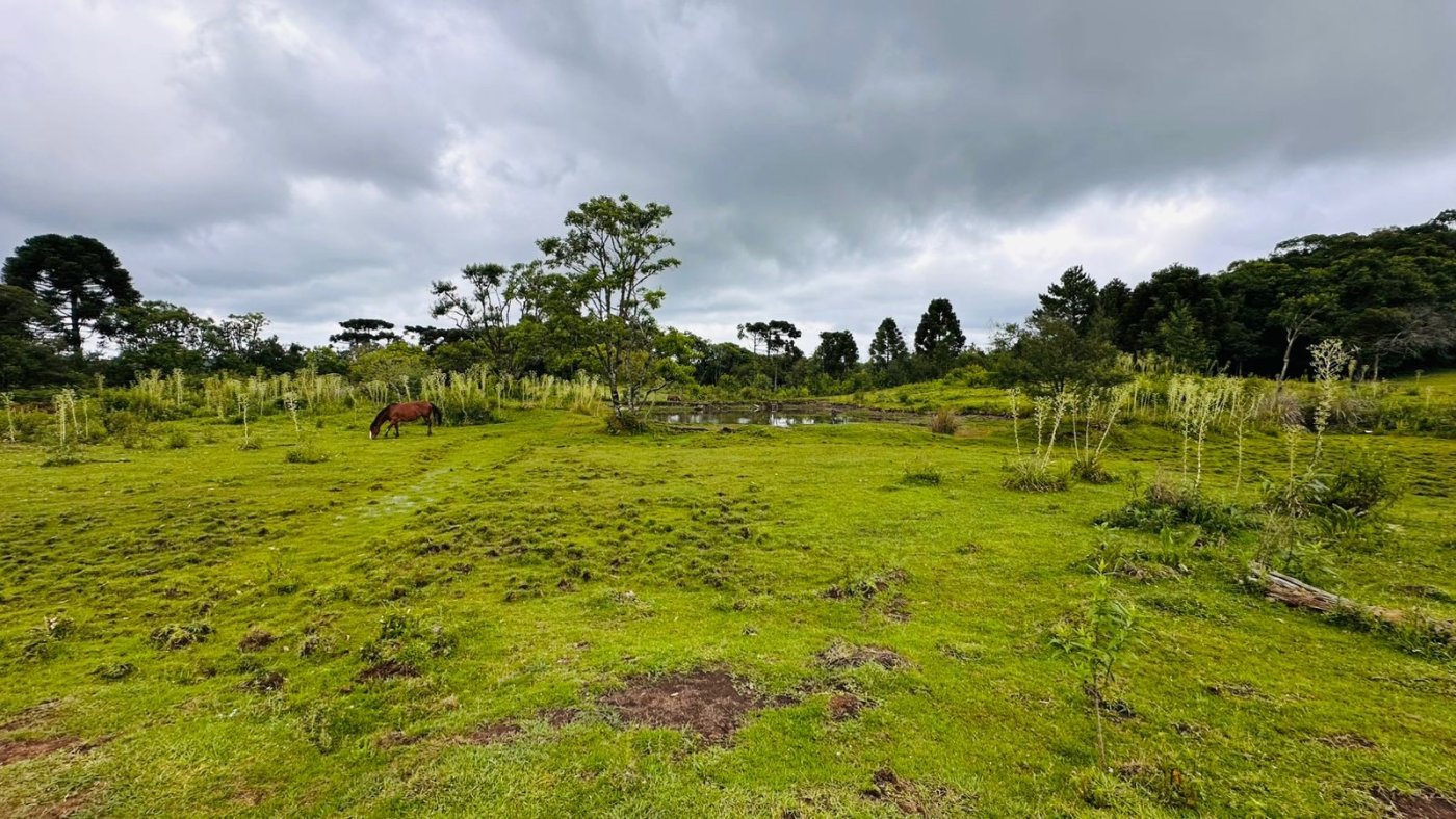 Sítio / Chácara para Venda no bairro Serra Grande em Três Coroas