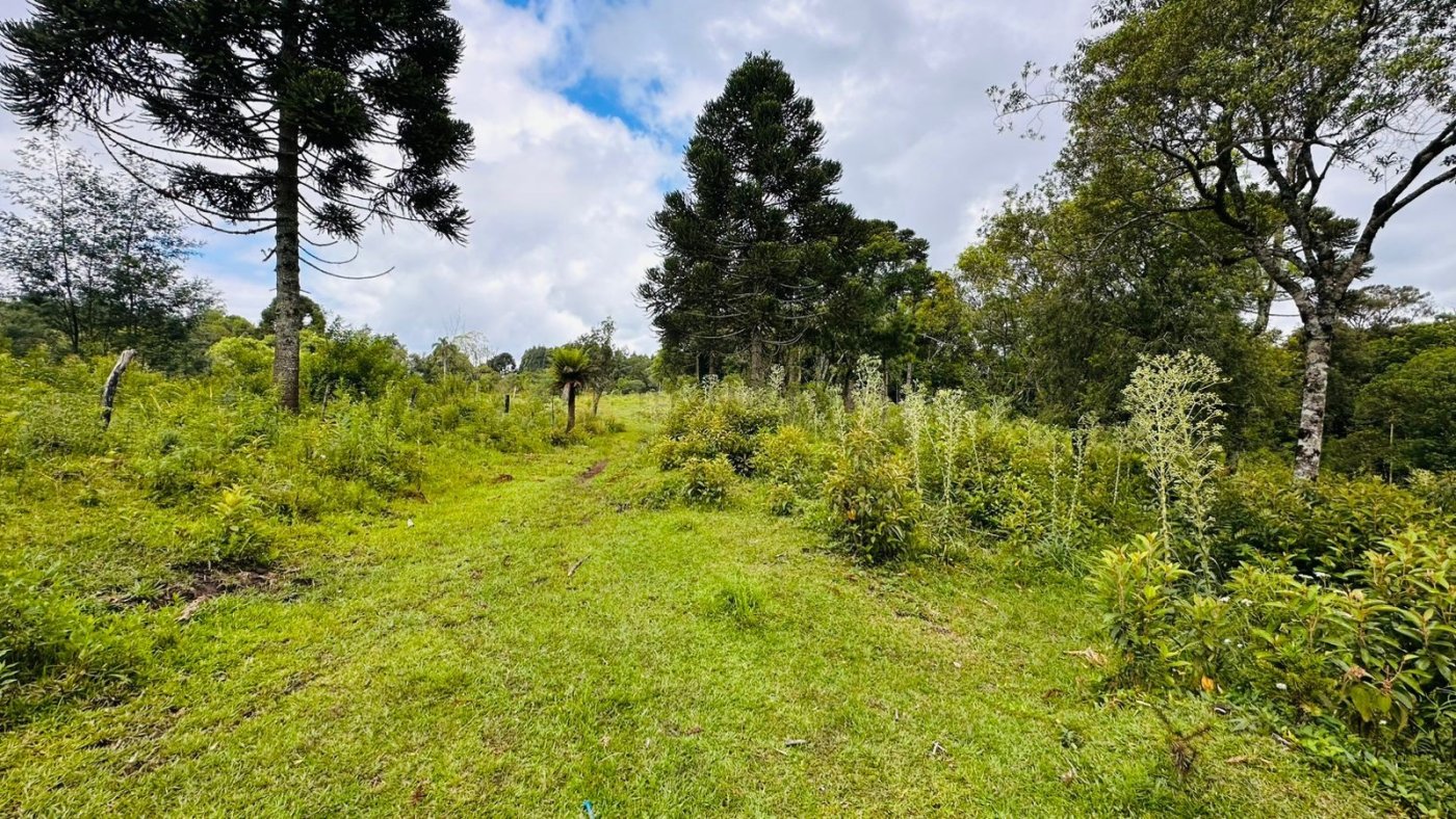 Sítio / Chácara para Venda no bairro Serra Grande em Três Coroas