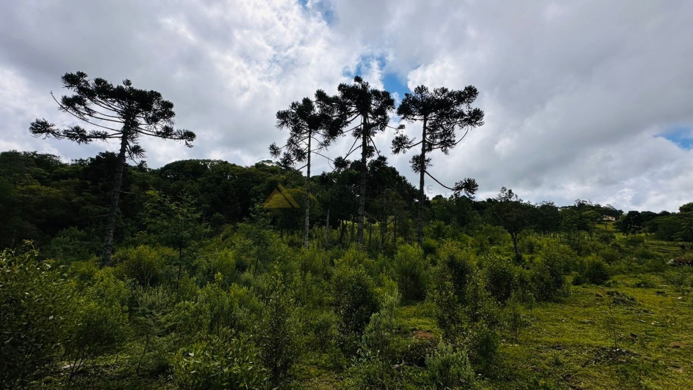 Sítio / Chácara para Venda no bairro Serra Grande em Três Coroas
