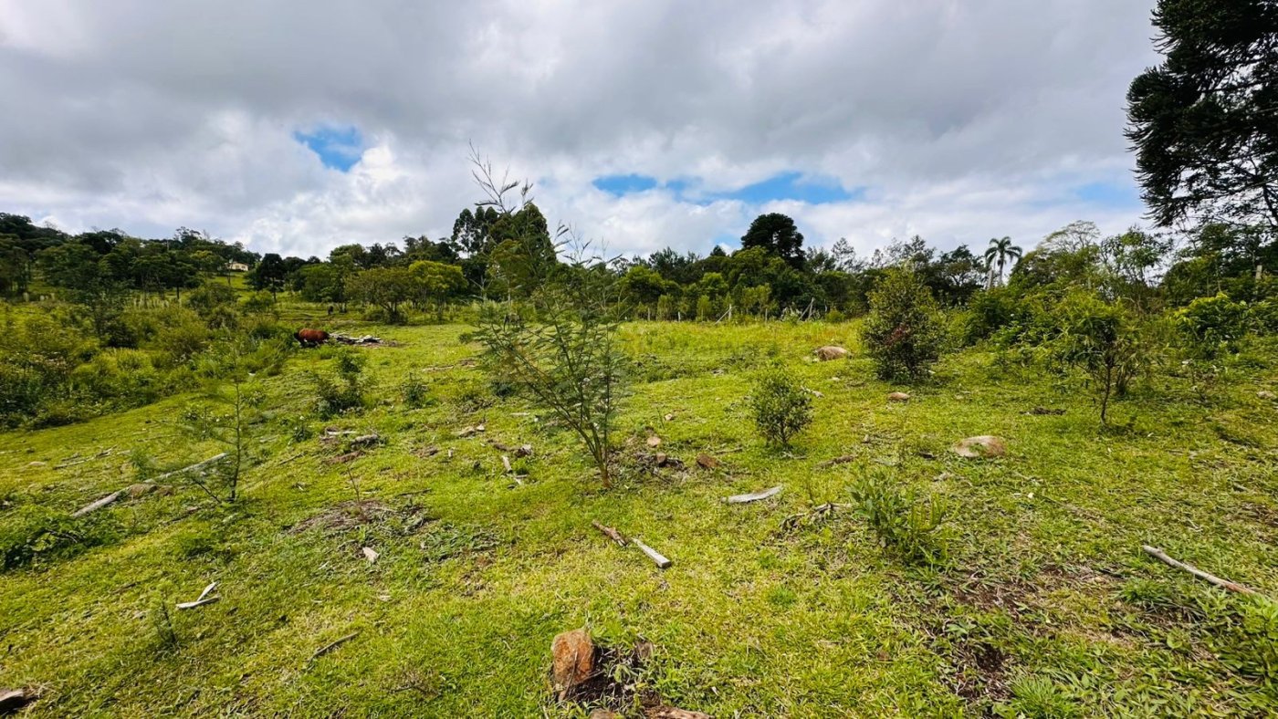 Sítio / Chácara para Venda no bairro Serra Grande em Três Coroas