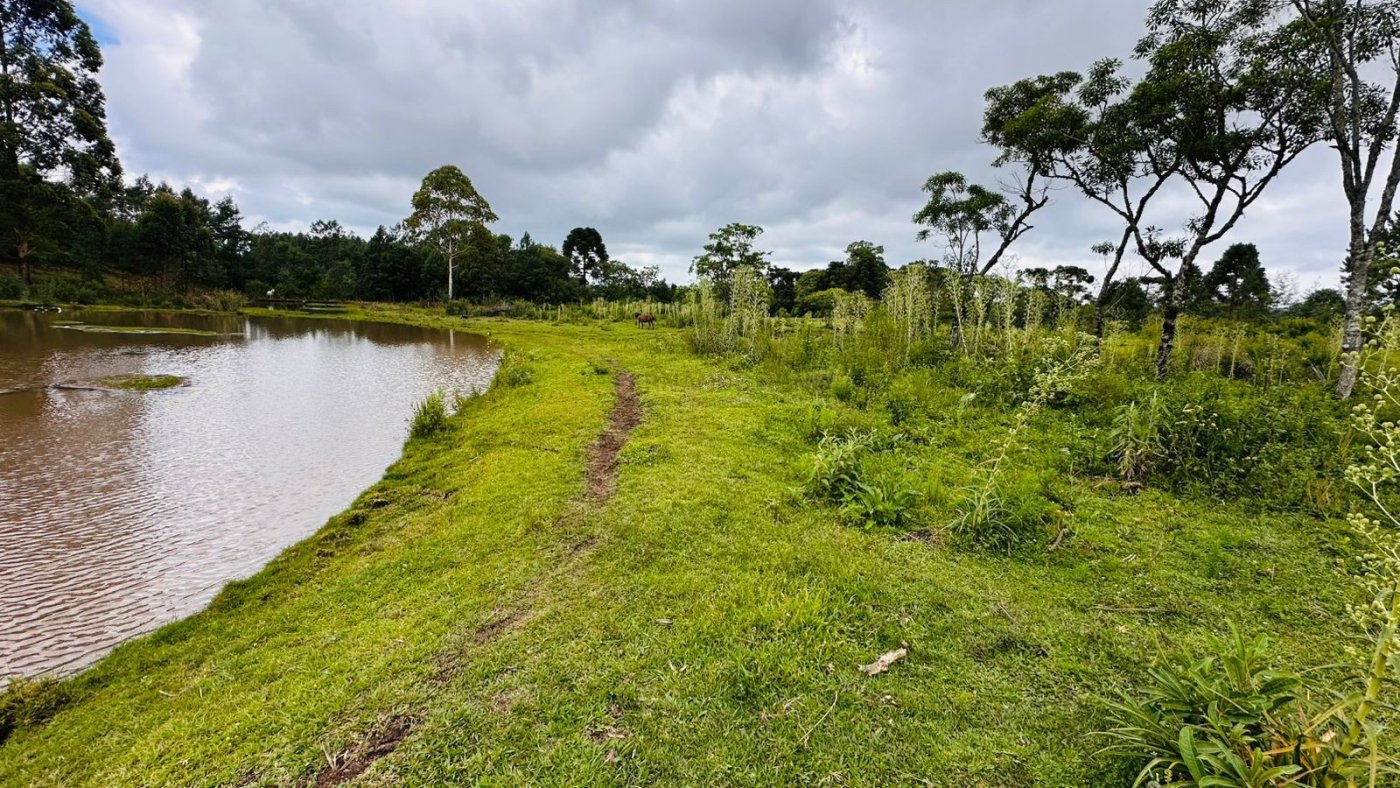 Sítio / Chácara para Venda no bairro Serra Grande em Três Coroas