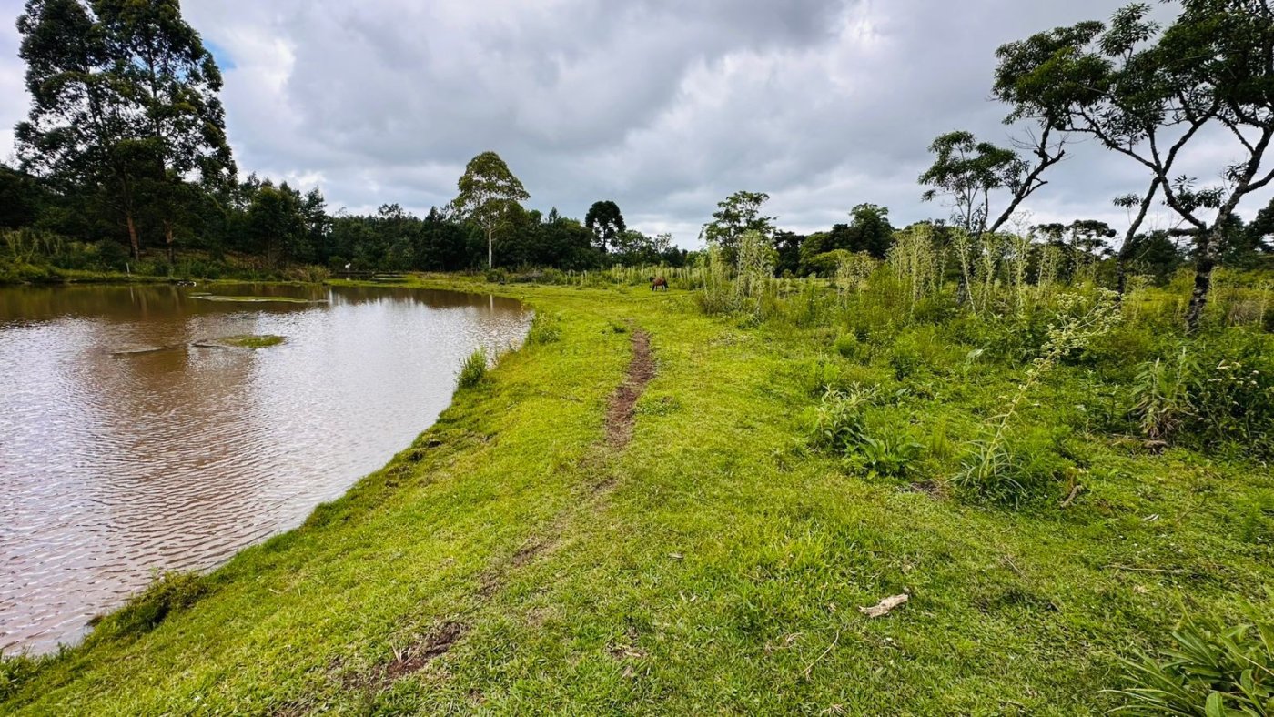 Sítio / Chácara para Venda no bairro Serra Grande em Três Coroas