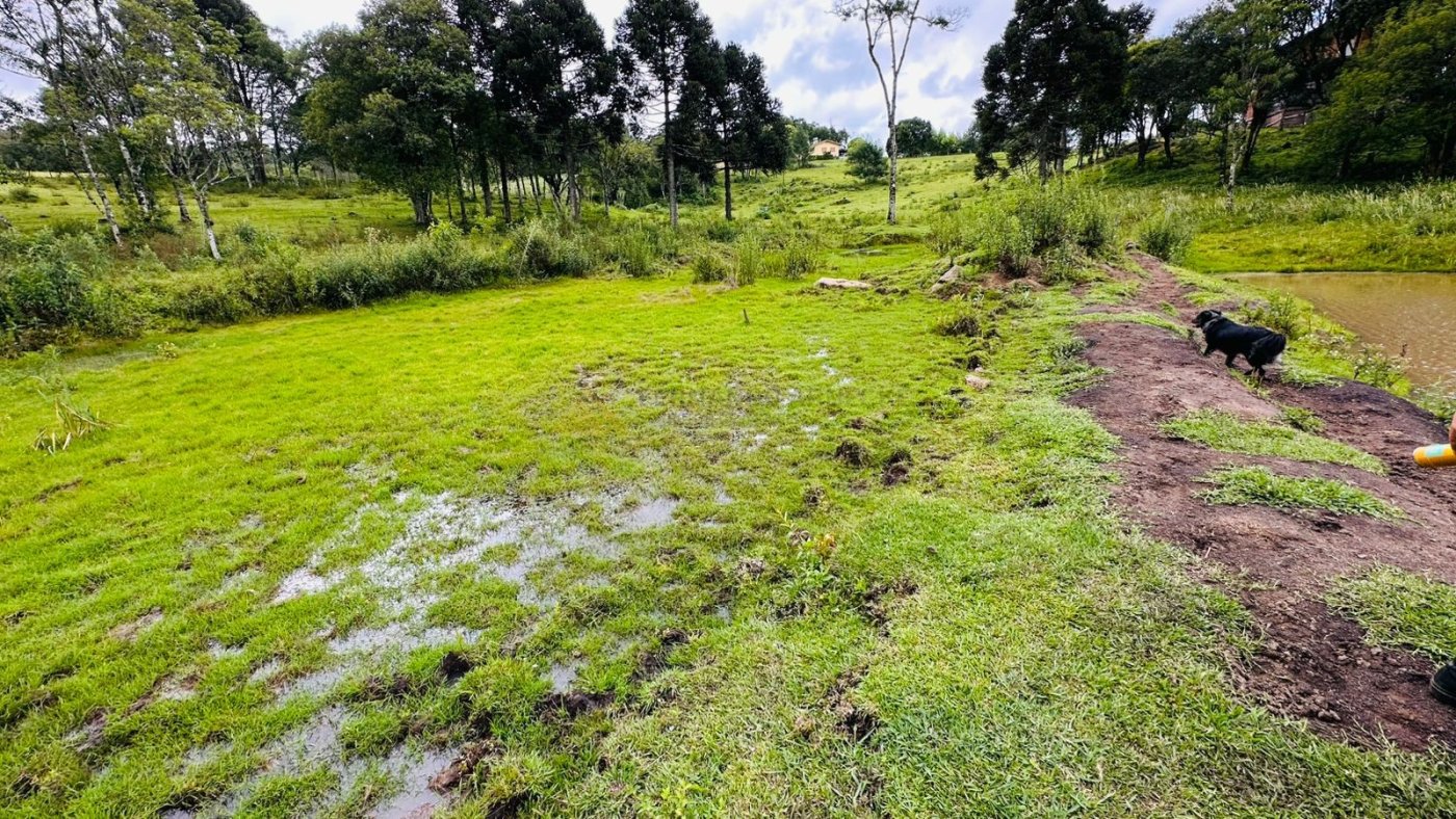 Sítio / Chácara para Venda no bairro Serra Grande em Três Coroas