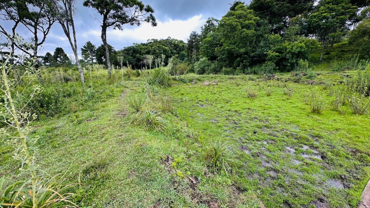 Sítio / Chácara para Venda no bairro Serra Grande em Três Coroas