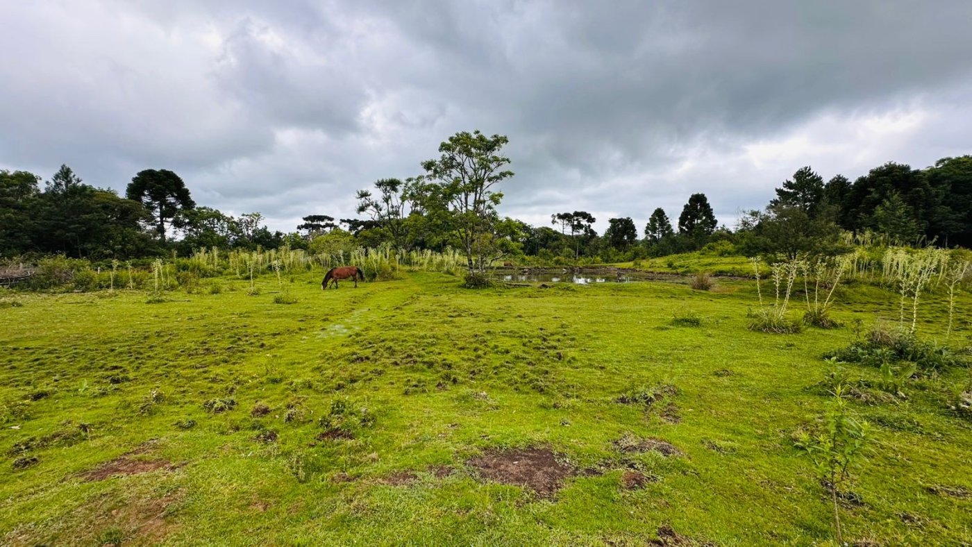 Sítio / Chácara para Venda no bairro Serra Grande em Três Coroas
