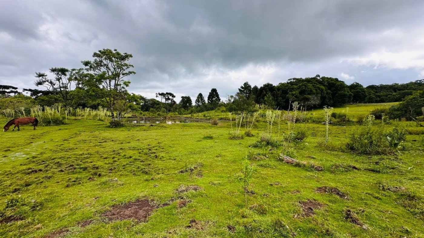 Sítio / Chácara para Venda no bairro Serra Grande em Três Coroas