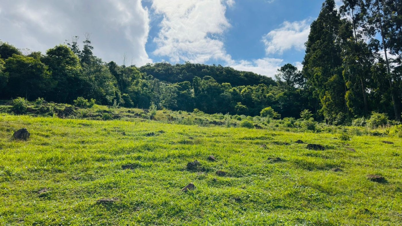Sítio / Chácara 3 quartos para Venda no bairro Linha Carahá em Gramado