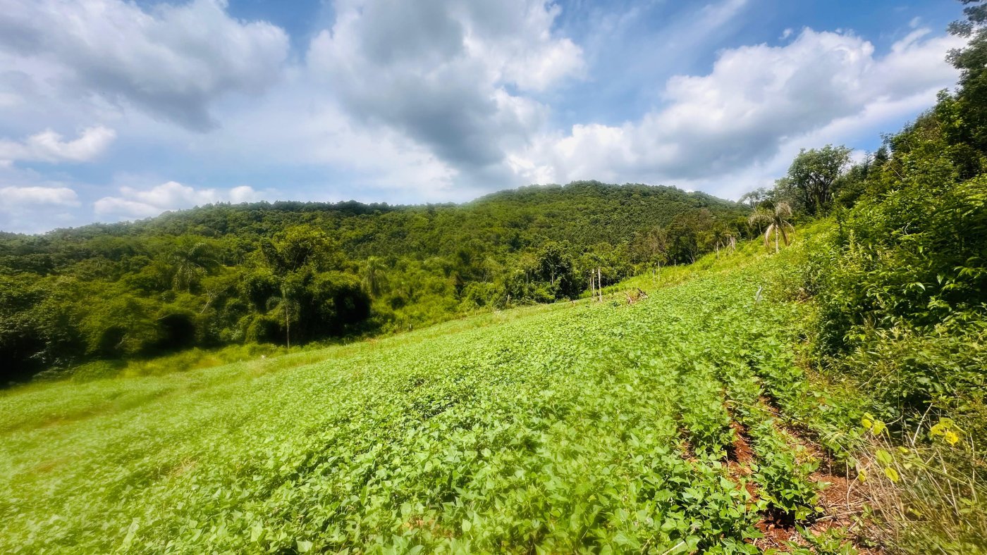 Sítio / Chácara para Venda no bairro Boa Vista do Herval em Santa Maria do Herval