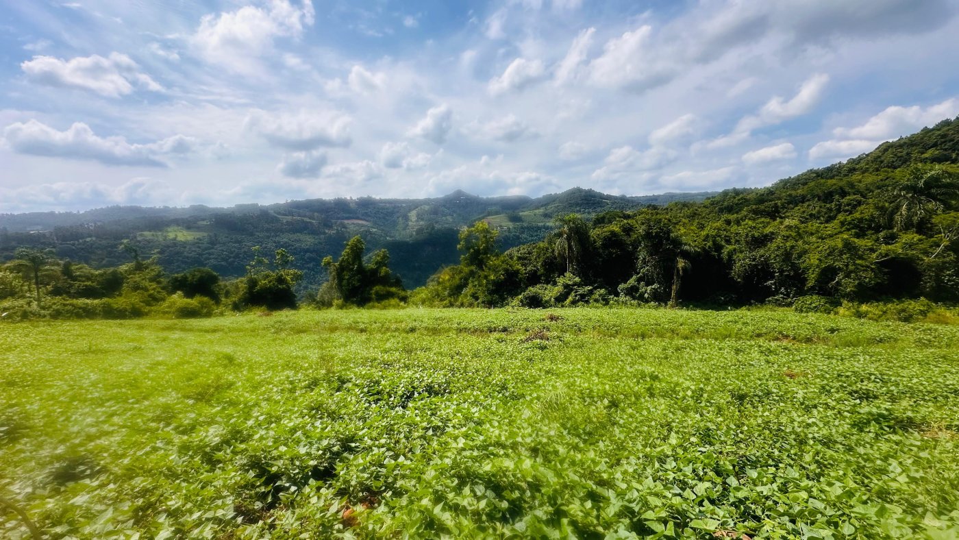 Sítio / Chácara para Venda no bairro Boa Vista do Herval em Santa Maria do Herval