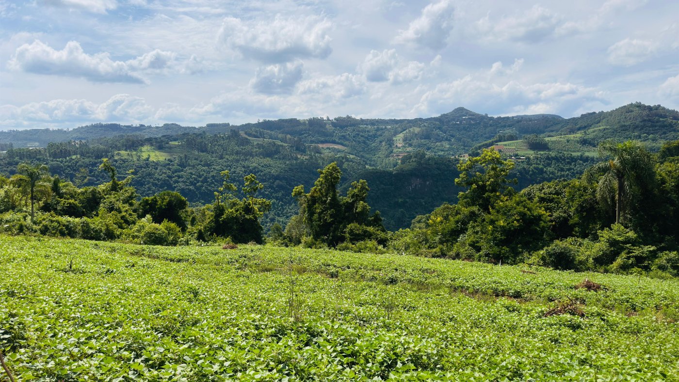 Sítio / Chácara para Venda no bairro Boa Vista do Herval em Santa Maria do Herval