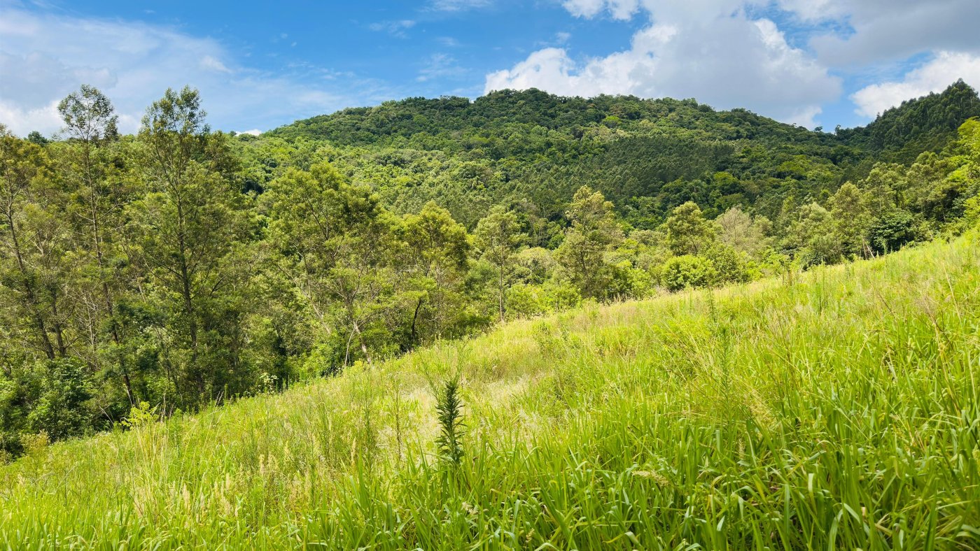 Sítio / Chácara para Venda no bairro Boa Vista do Herval em Santa Maria do Herval
