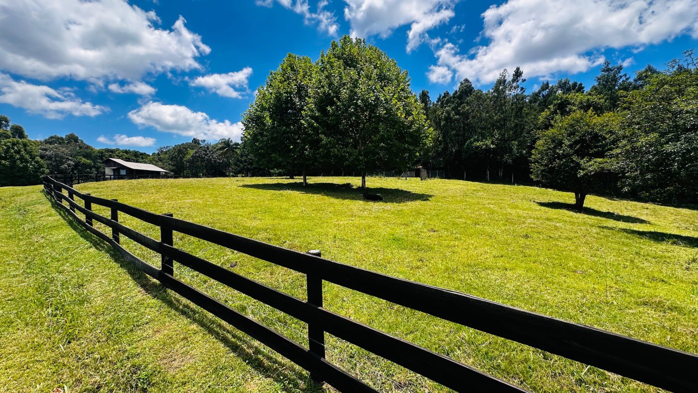 Sítio / Chácara 6 quartos para Venda no bairro Nova Renânia em Santa Maria do Herval
