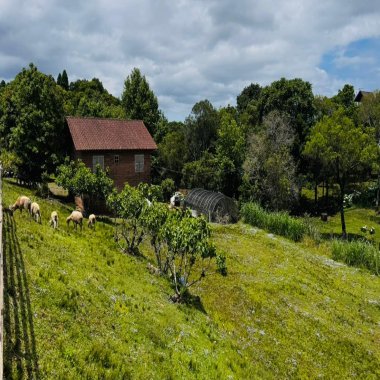 Sítio / Chácara 2 quartos para Venda no bairro Serra Grande em Três Coroas