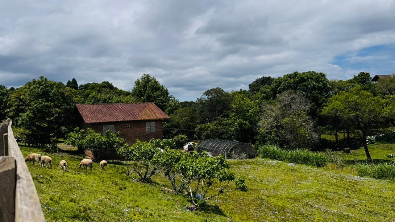 Sítio / Chácara 2 quartos para Venda no bairro Serra Grande em Três Coroas