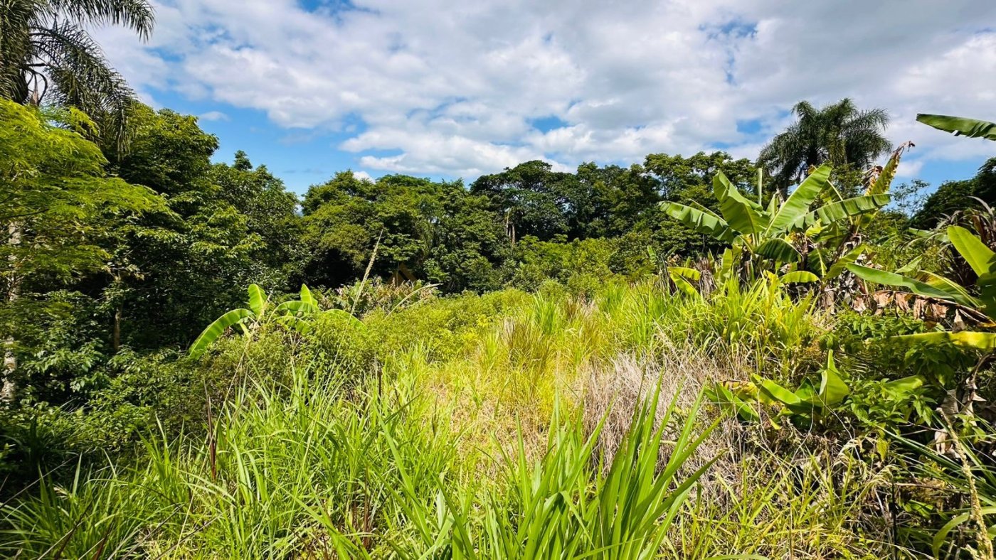 Sítio / Chácara 1 quarto para Venda no bairro Serra Grande em Três Coroas