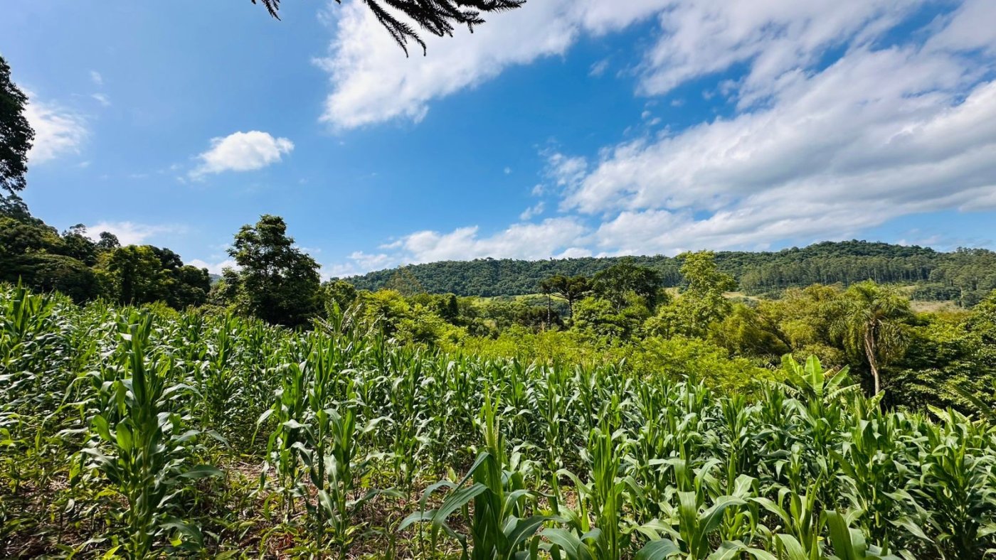 Sítio / Chácara 1 quarto para Venda no bairro Serra Grande em Três Coroas