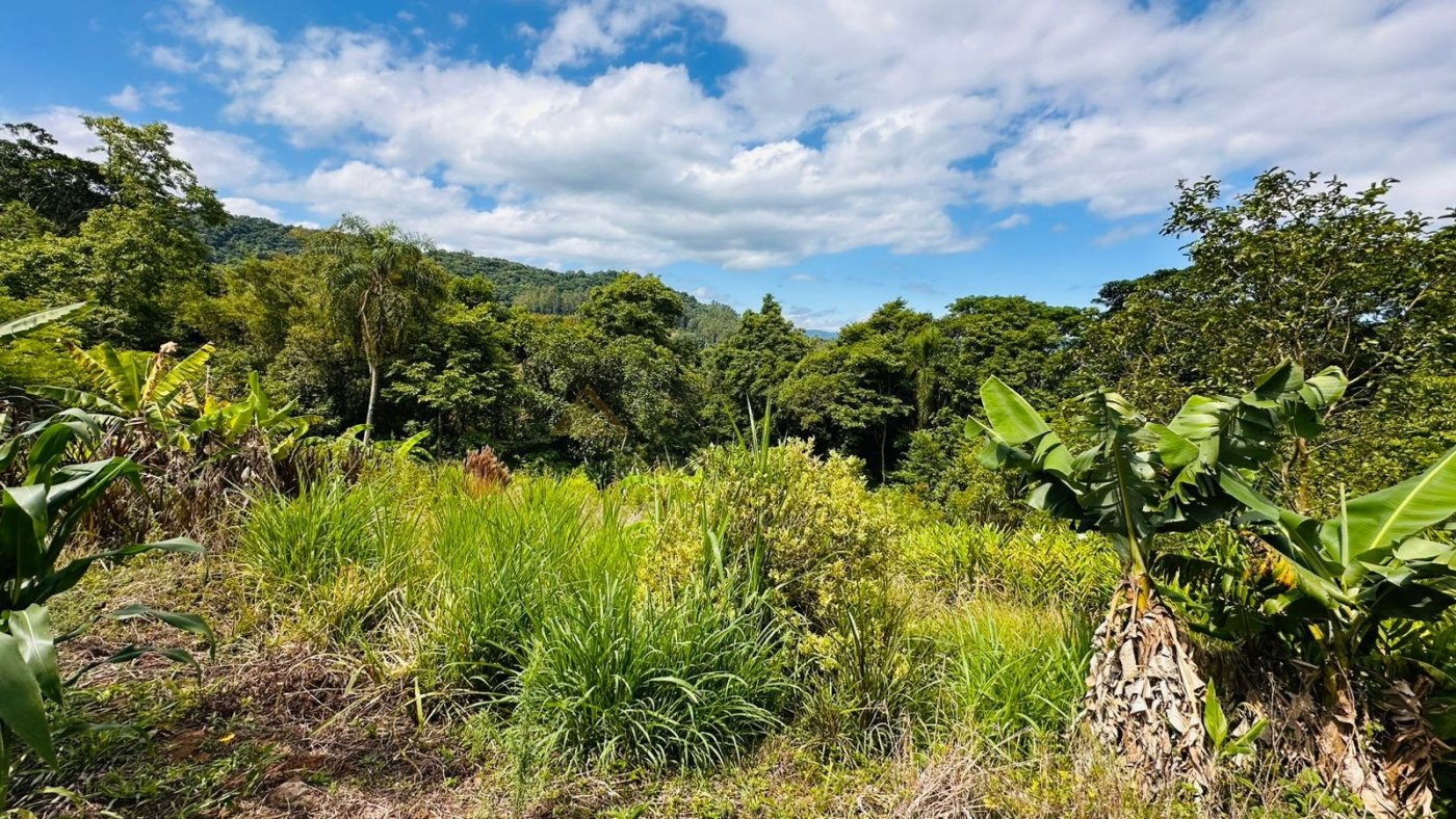 Sítio / Chácara 1 quarto para Venda no bairro Serra Grande em Três Coroas