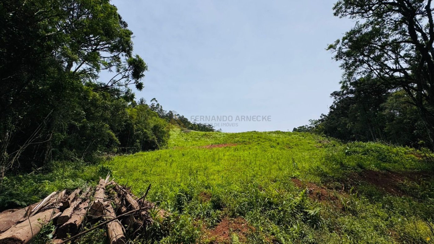 Sítio / Chácara para Venda no bairro Serra Grande em Igrejinha