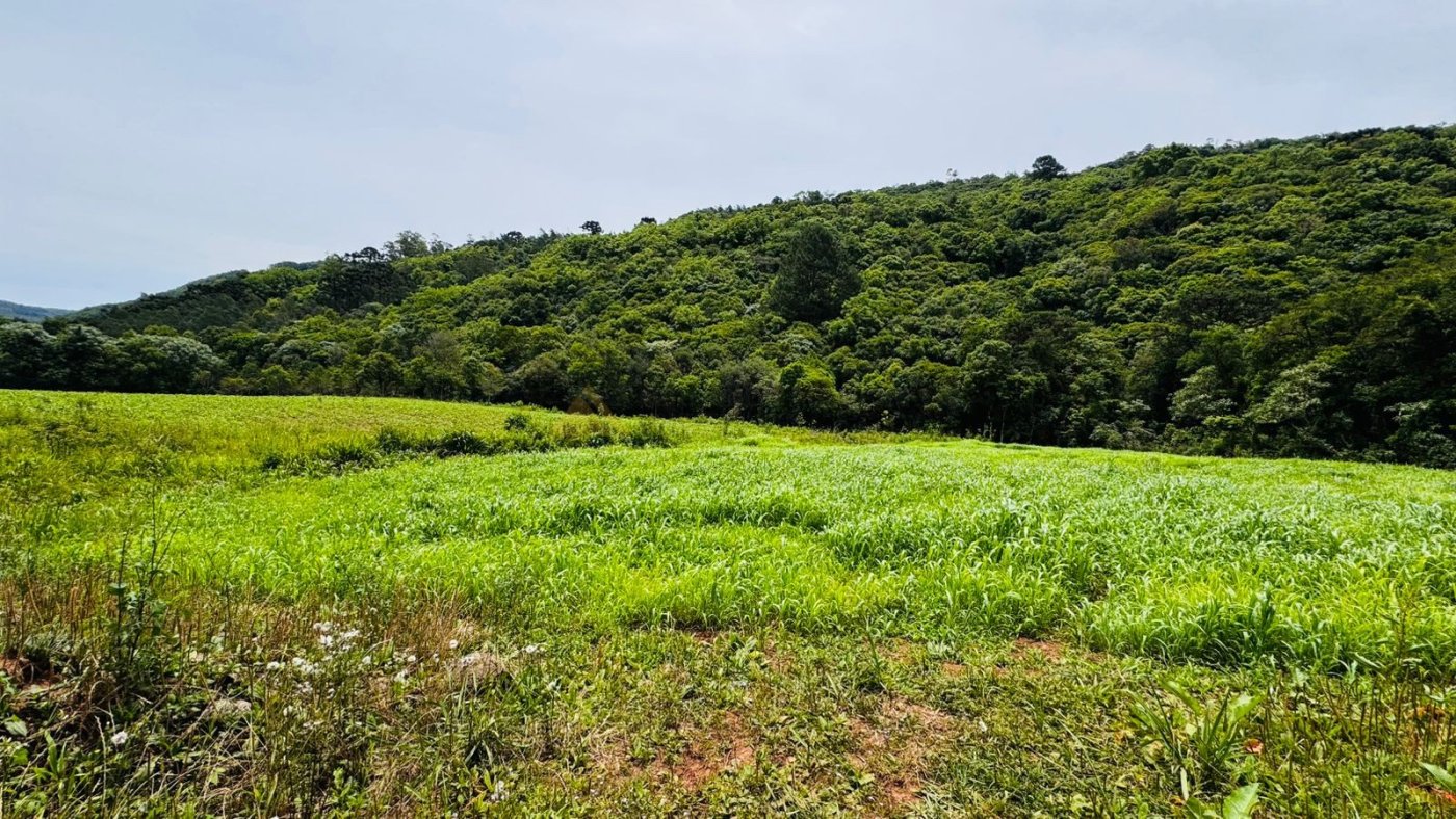 Sítio / Chácara para Venda no bairro Serra Grande em Igrejinha