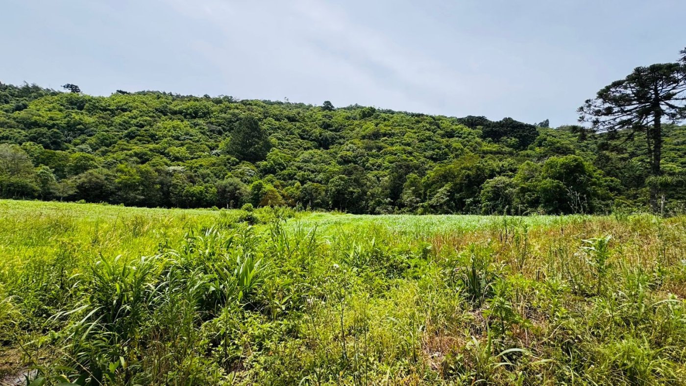 Sítio / Chácara para Venda no bairro Serra Grande em Igrejinha