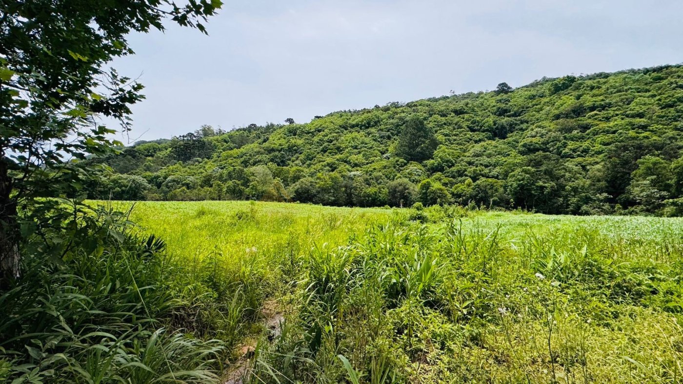 Sítio / Chácara para Venda no bairro Serra Grande em Igrejinha