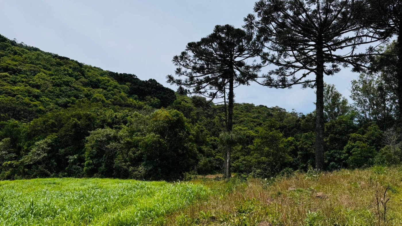Sítio / Chácara para Venda no bairro Serra Grande em Igrejinha